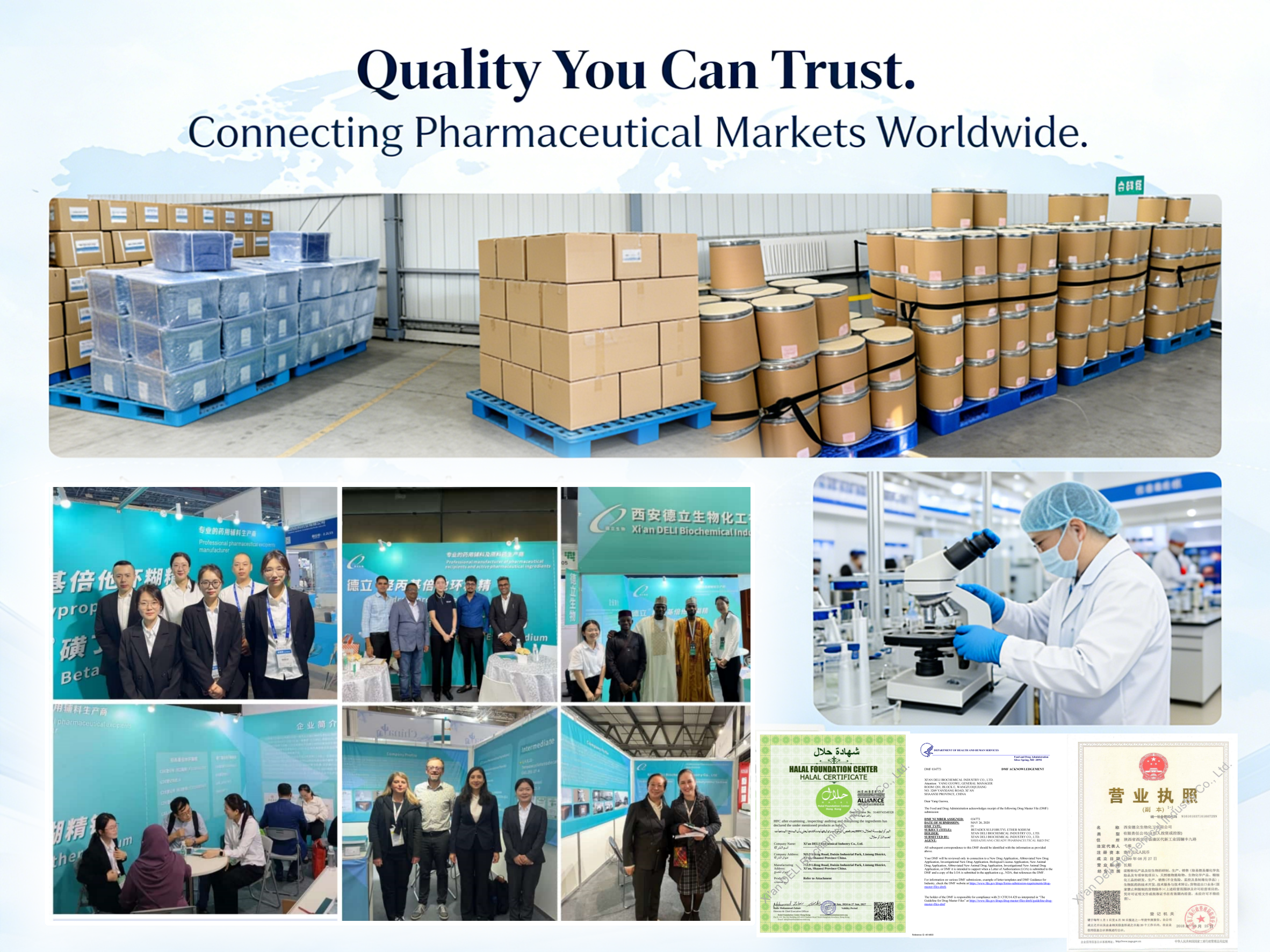 Deli Biokemični poudarki 2025 Dosežki in predogledi 2026 Razstave